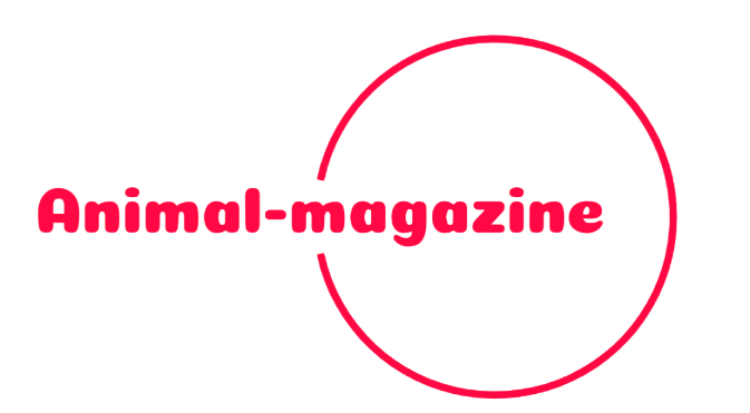 animal-magazine.com